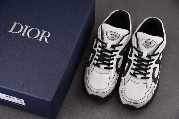 Dior B30 'White Black'